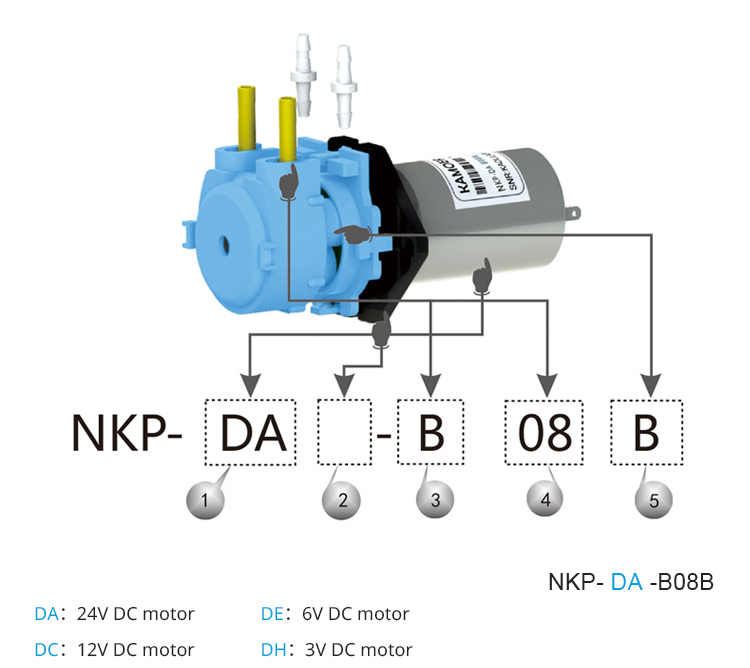 2026 new NKP 6V 12V 24V DC mot - Nutrition & Fitness Station 评论和价格