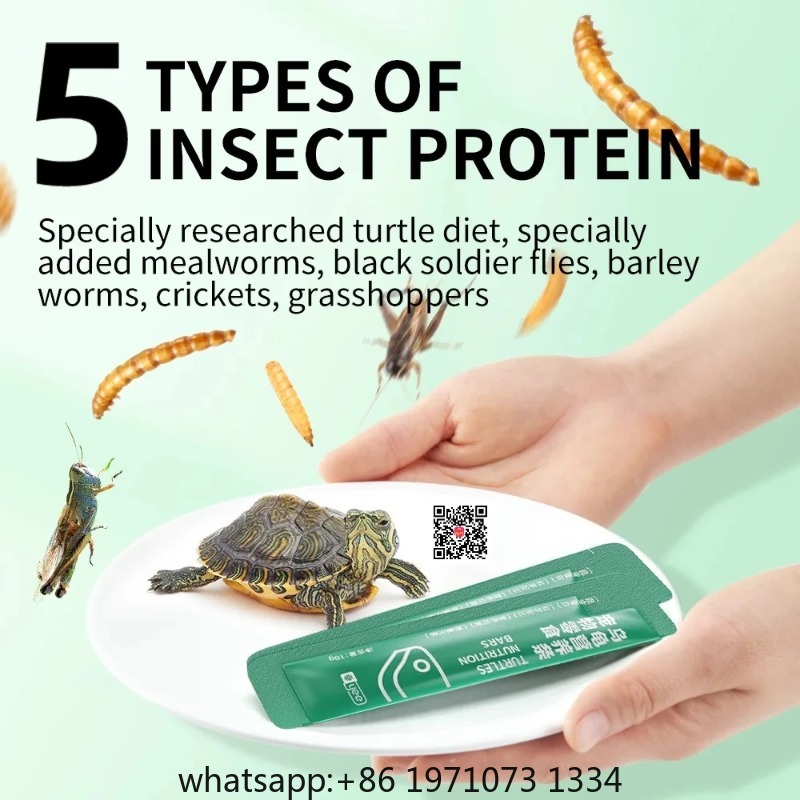Yee Small Turtle Snacks Nutrit - Nutrition & Fitness Station 评论和价格