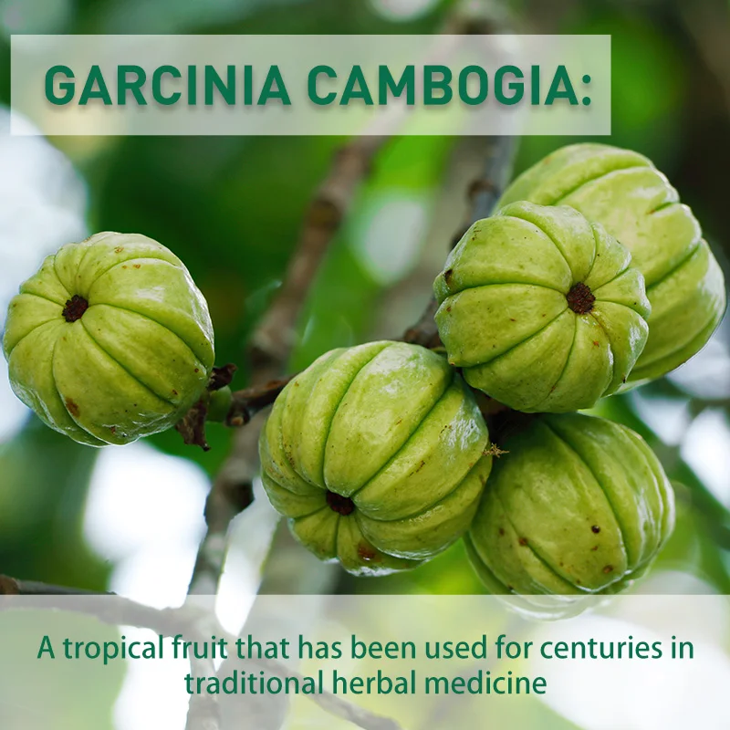 Garcinia Cambogia Capsules - B - Garcinia Cambogia Extract 评论和价格